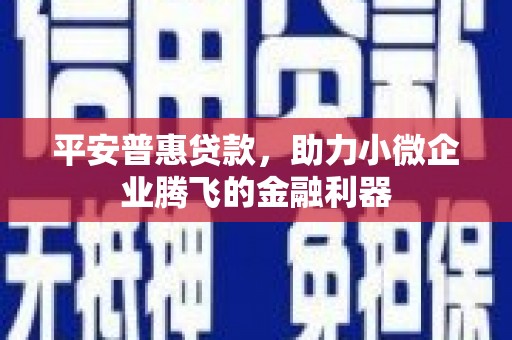 沿河平安普惠贷款，助力小微企业腾飞的金融利器