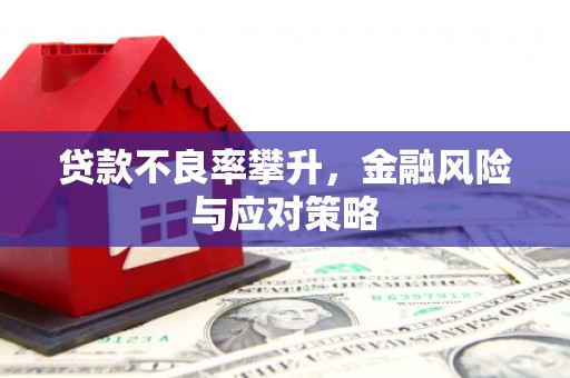 沿河贷款不良率攀升，金融风险与应对策略