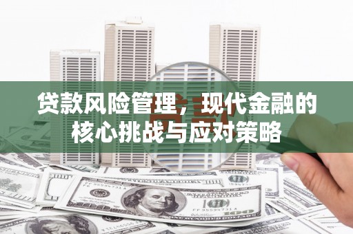 沿河贷款风险管理，现代金融的核心挑战与应对策略