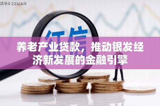 沿河养老产业贷款，推动银发经济新发展的金融引擎