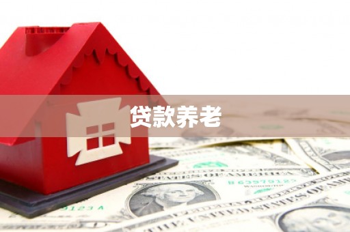 沿河贷款养老