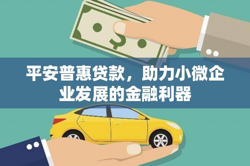 沿河平安普惠贷款，助力小微企业发展的金融利器