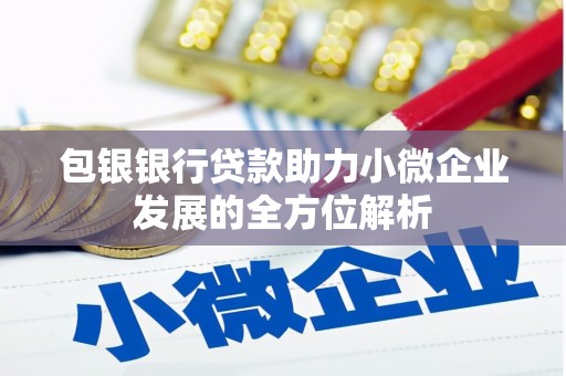 沿河包银银行贷款助力小微企业发展的全方位解析