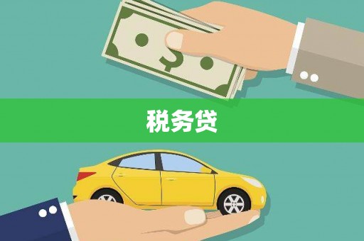 沿河税务贷