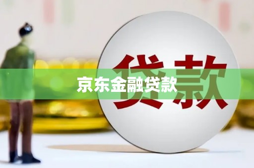 沿河京东金融贷款