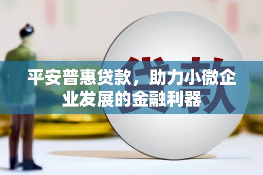 沿河平安普惠贷款，助力小微企业发展的金融利器