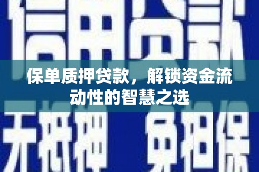 沿河保单质押贷款，解锁资金流动性的智慧之选