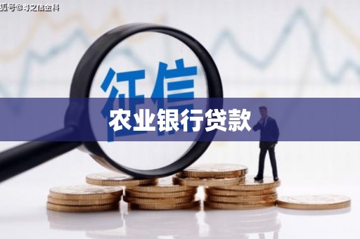 沿河农业银行贷款