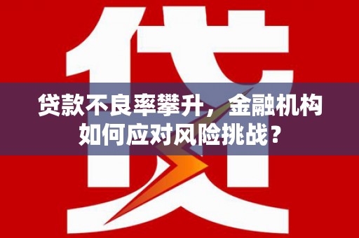 沿河贷款不良率攀升，金融机构如何应对风险挑战？