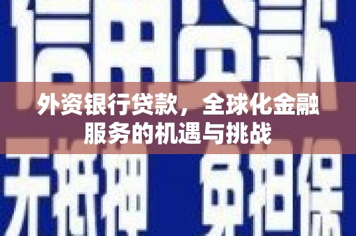 沿河外资银行贷款，全球化金融服务的机遇与挑战