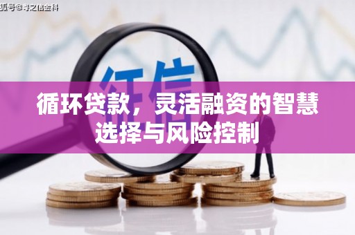 沿河循环贷款，灵活融资的智慧选择与风险控制