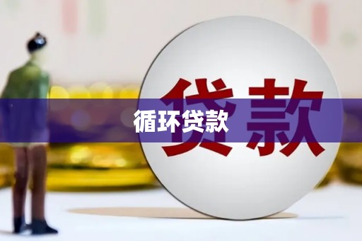 沿河循环贷款