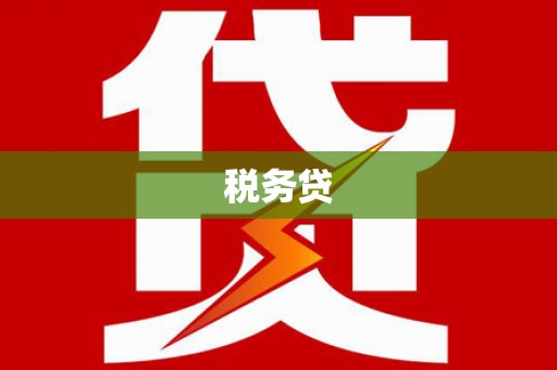 沿河税务贷
