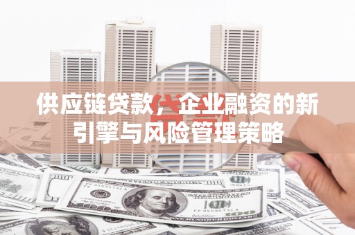 沿河供应链贷款，企业融资的新引擎与风险管理策略