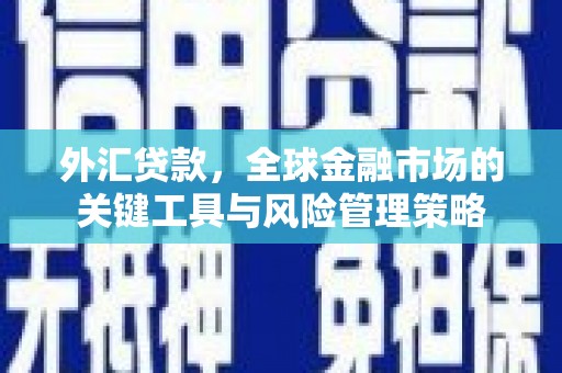 沿河外汇贷款，全球金融市场的关键工具与风险管理策略