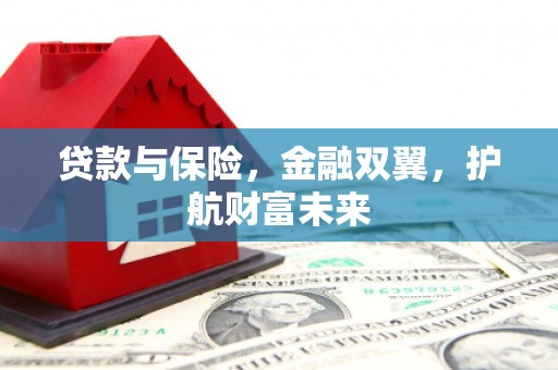 沿河贷款与保险，金融双翼，护航财富未来