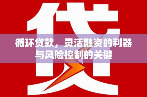 沿河循环贷款，灵活融资的利器与风险控制的关键