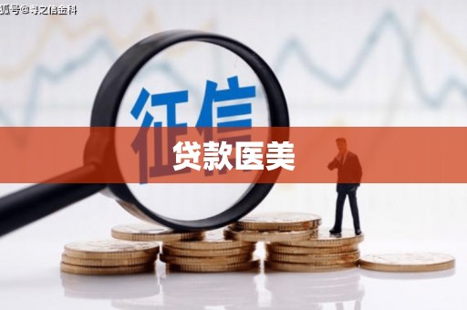 沿河贷款医美