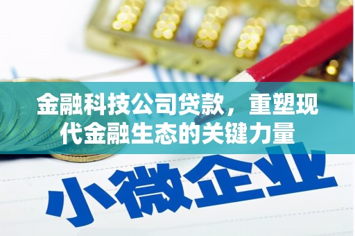 沿河金融科技公司贷款，重塑现代金融生态的关键力量