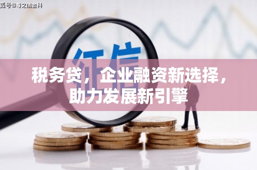 沿河税务贷，企业融资新选择，助力发展新引擎