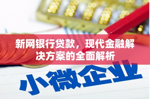 沿河新网银行贷款，现代金融解决方案的全面解析