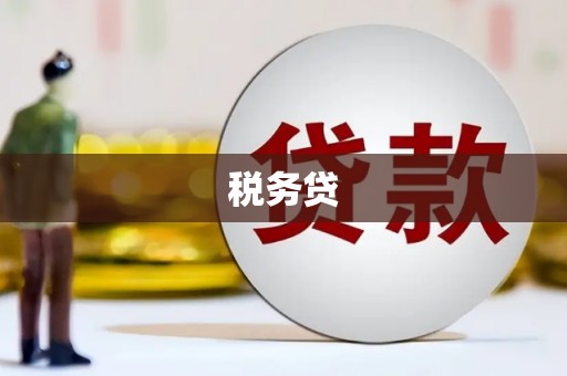 沿河税务贷