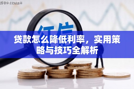 沿河贷款怎么降低利率，实用策略与技巧全解析
