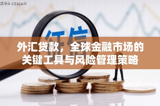 沿河外汇贷款，全球金融市场的关键工具与风险管理策略