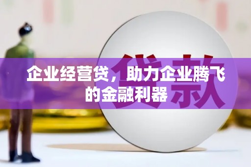 沿河企业经营贷，助力企业腾飞的金融利器