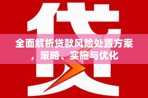 沿河全面解析贷款风险处置方案，策略、实施与优化