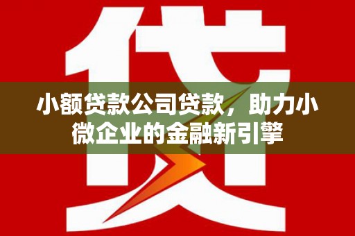 沿河小额贷款公司贷款，助力小微企业的金融新引擎