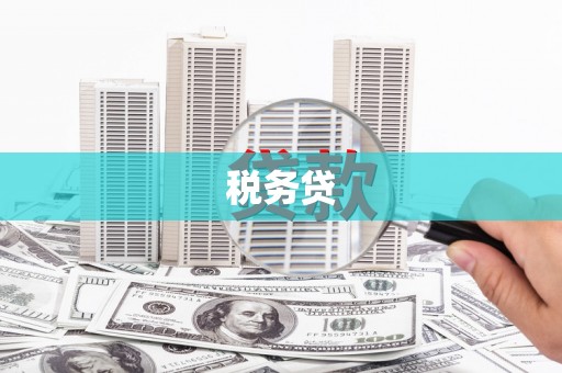 沿河税务贷