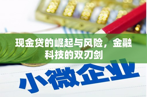 沿河现金贷的崛起与风险，金融科技的双刃剑
