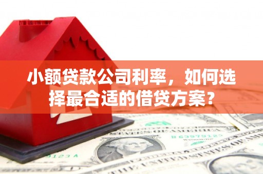 沿河小额贷款公司利率，如何选择最合适的借贷方案？