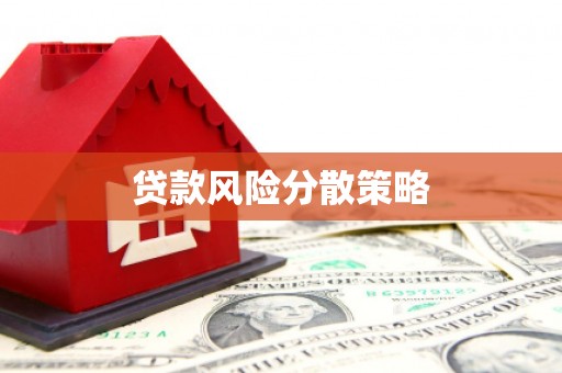 沿河贷款风险分散策略