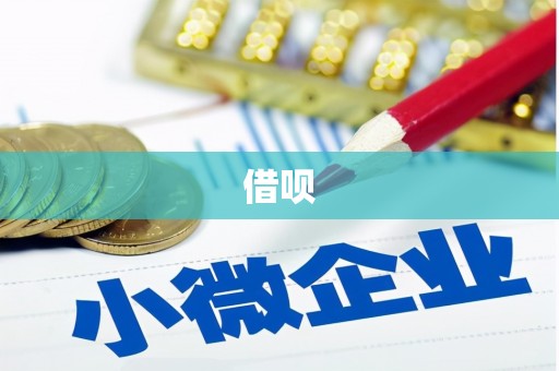 沿河借呗