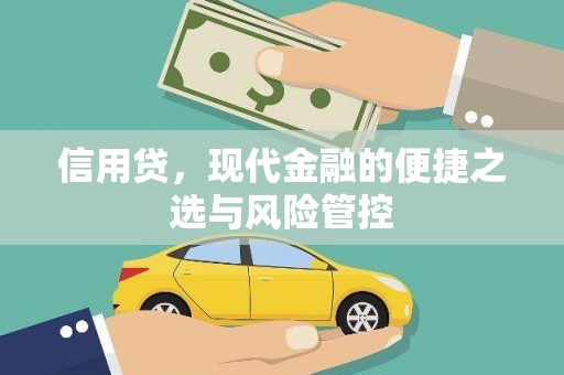 沿河信用贷，现代金融的便捷之选与风险管控