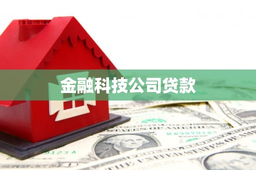 沿河金融科技公司贷款