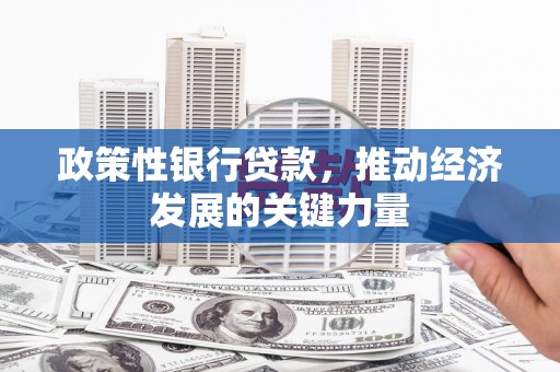 沿河政策性银行贷款，推动经济发展的关键力量