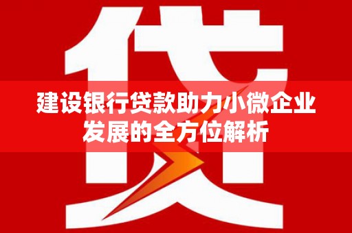 沿河建设银行贷款助力小微企业发展的全方位解析