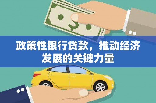 沿河政策性银行贷款，推动经济发展的关键力量