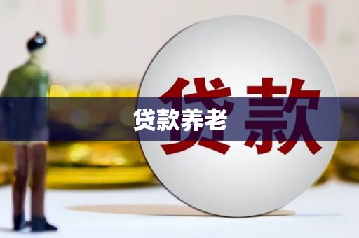 沿河贷款养老