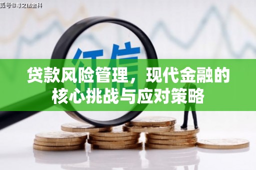 沿河贷款风险管理，现代金融的核心挑战与应对策略