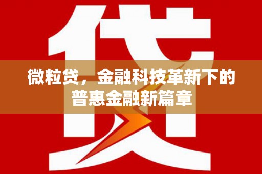 沿河微粒贷，金融科技革新下的普惠金融新篇章