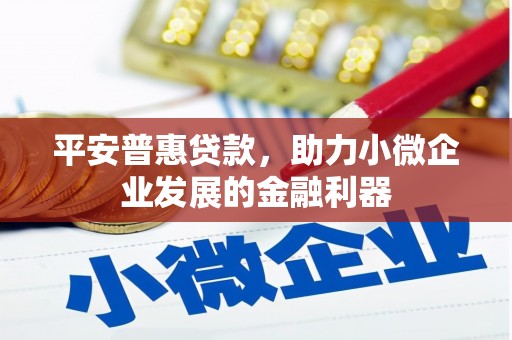 沿河平安普惠贷款，助力小微企业发展的金融利器