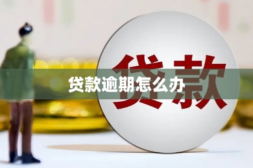 沿河贷款逾期怎么办