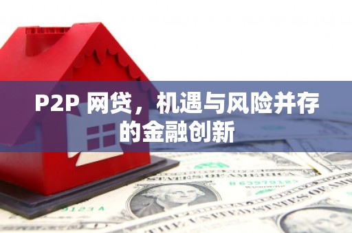 沿河P2P 网贷，机遇与风险并存的金融创新