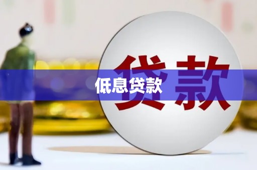 沿河低息贷款