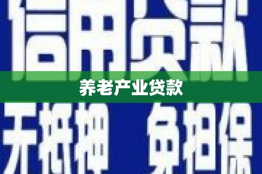 沿河养老产业贷款