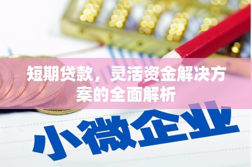 沿河短期贷款，灵活资金解决方案的全面解析